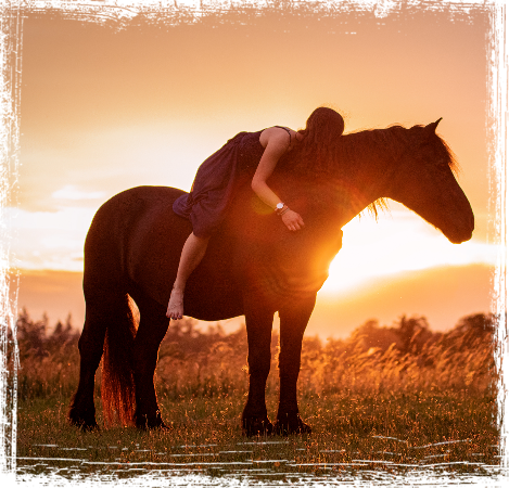 Jana-Hartmann-Fotografie-Pferd-im-Sonnenuntergang Pferd im Sonnenuntergang beim Shooting mit Jana Hartmann Fotografie in Karlsruhe