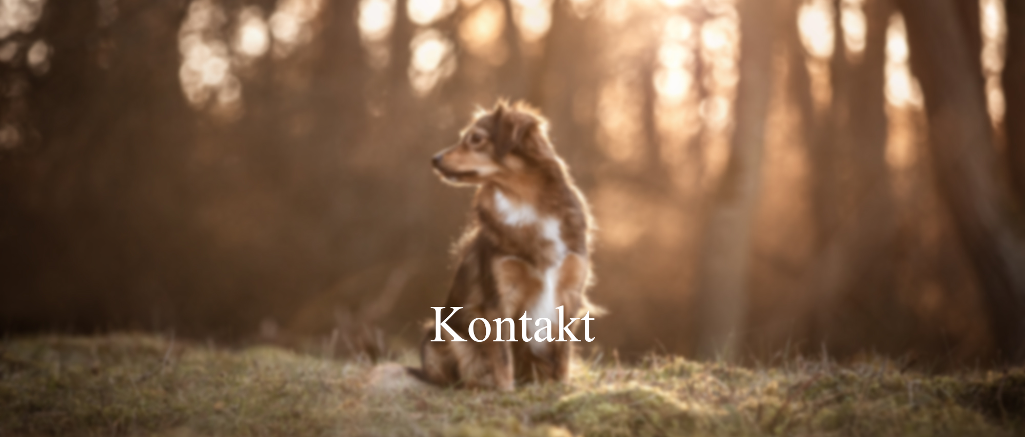 Kontakt