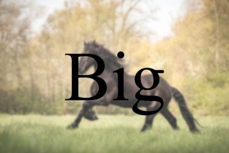 Shootingpaket Big Shootingpaket Big