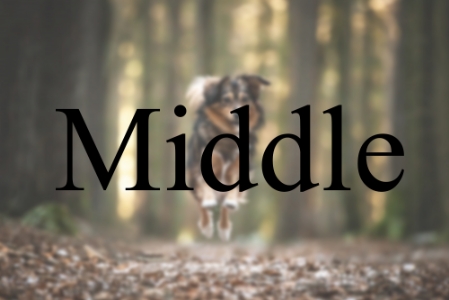 Shootingpaket Middle Shooting Paket Middle